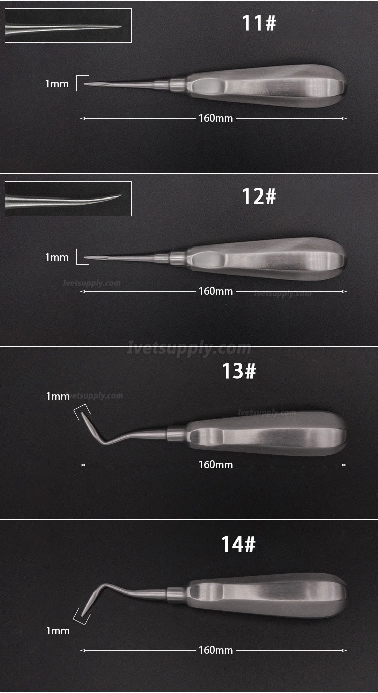 Veterinary Elevators Cat Dog Teeth Extraction Stainless Steel Minimally Invasive Elevators